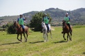 03 - CAMPO arrivi